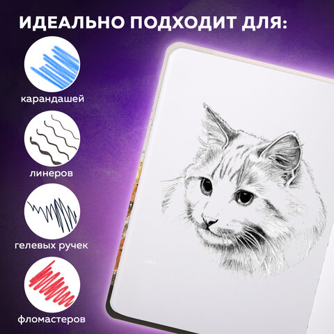 Скетчбук, белая бумага 80 г/м2, 145х203 мм, 80 л., резинка, твердый, BRAUBERG ART DEBUT "Тигр", 114580