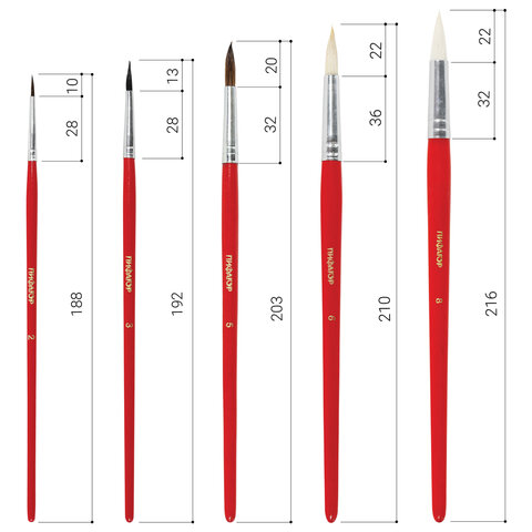Кисти ПИФАГОР, набор 5 шт. (БЕЛКА: круглая № 3; КОЗА: круглые № 6, 8; ПОНИ: круглые № 2, 5), пакет с европодвесом, 200231