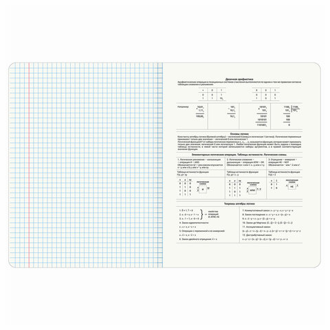 Тетрадь предметная ANIME 48 л., глянцевый УФ-лак, ИНФОРМАТИКА, клетка, BRAUBERG, 404538