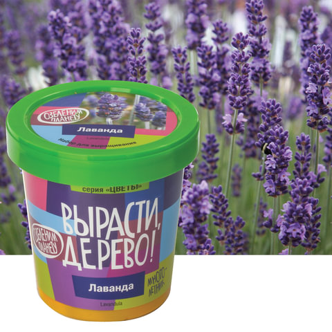 Набор для выращивания растений ВЫРАСТИ ДЕРЕВО! "Лаванда" (банка, грунт, семена), zk-030