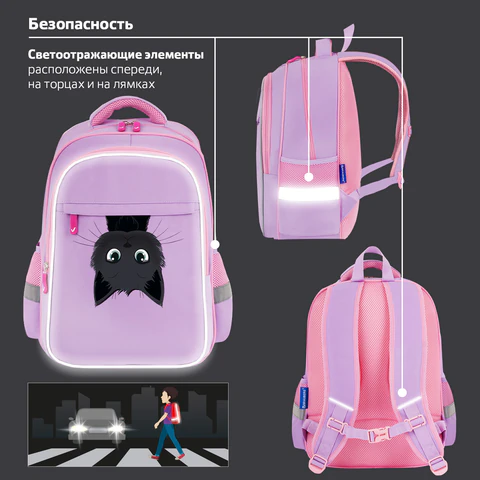 Рюкзак BRAUBERG FAVOUR, 2 отделения, 3 кармана, "Hide and seek", 40х29х15 см, 273122