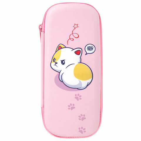 Пенал BRAUBERG, 1 отделение, 1 откидная планка, EVA, 22х10х5 см, "Disturbed", 273513