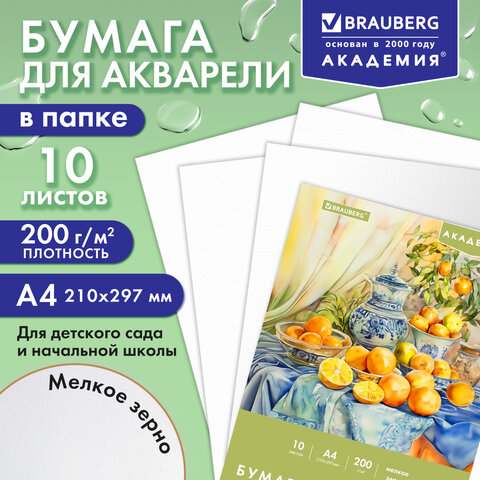 Папка для акварели А4, 210х297 мм, 10 листов, 200 г/м2, BRAUBERG АКАДЕМИЯ (ДЭК), "Апельсины", 117743