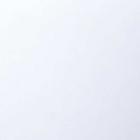 Папка для рисования БОЛЬШОГО ФОРМАТА А3, 20 л., 160 г/м2, BRAUBERG, 297х420 мм, "Орел", 125228