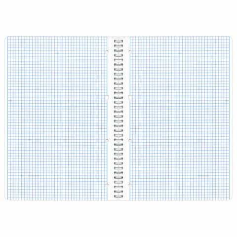 Тетрадь А4, 96 л., BRAUBERG, гребень, клетка, обложка картон, КРАСИВЫЕ ЦВЕТЫ, 403072