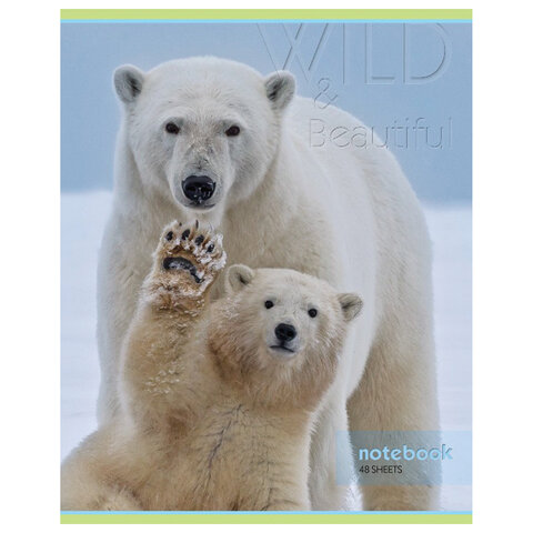 Тетрадь А5, 48 л., HATBER-ECO скоба, офсет №2 ЭКОНОМ, клетка, обложка мелованная бумага, "Дикий мир", 075790, 48Т5D1