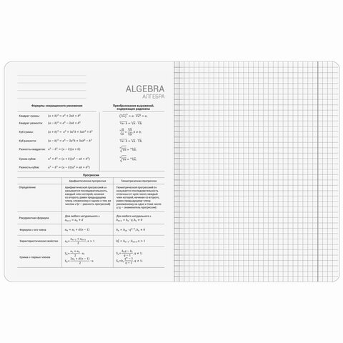 Тетради предметные, КОМПЛЕКТ 12 ПРЕДМЕТОВ, 48 л., SoftTouch, BRAUBERG "РИТМ", 405181