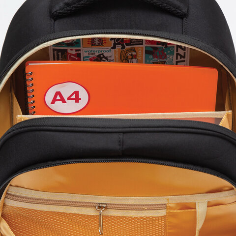 Ранец GRIZZLY анатомическая спинка, c брелоком, для девочек, "NIGHT CAT", 36х28х20 см, RAz-286-1/1