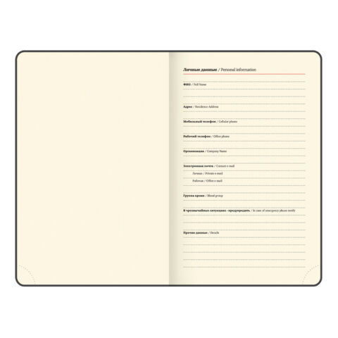 Ежедневник датированный 2026, МАЛЫЙ ФОРМАТ 100х150 мм, А6, BRAUBERG "Iguana", под кожу, коричневый, 117253