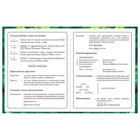 Дневник 1-4 класс 48 л., твердый, BRAUBERG, глянцевая ламинация, с подсказом, "Панда", 107158.