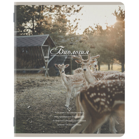 Тетради предметные, КОМПЛЕКТ 12 ПРЕДМЕТОВ, 48 л., SoftTouch, BRAUBERG, "ESTHETICS", 404833