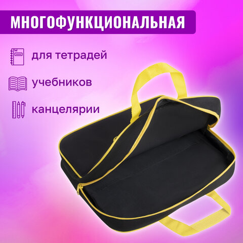 Папка на молнии с ручками BRAUBERG А4, 1 отделение, полиэстер, 80 мм, "Dark cat", 272178