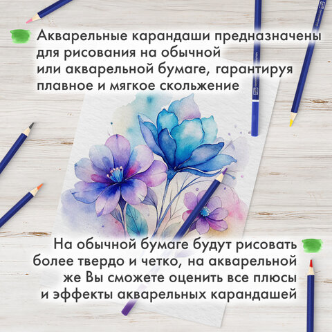 Карандаши художественные цветные акварельные BRAUBERG ART CLASSIC, 48 цветов, грифель 3,3 мм, 181532