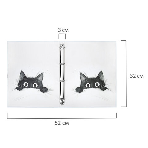 Папка-портфолио универсальная, 4 кольца, 20 файлов, 7БЦ матовая, BRAUBERG "Cat", 107557, 117557