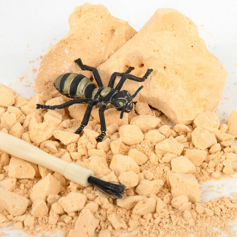 Набор для раскопок "Насекомые", 12 видов, карточки, инструменты, BRAUBERG KIDS, 665127