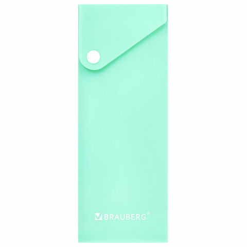 Пенал пластиковый BRAUBERG, 1 отделение, на кнопке, 20x7 см, ассорти, "Pastel", 273770