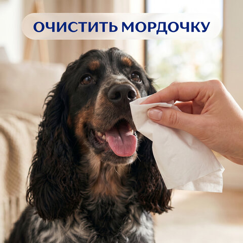Салфетки косметические 2-слойные в картонном коробе, 250 штук, ZEMMA/ZEWA Everyday, 86791