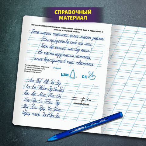 Тетрадь ПРОПИСЬ № 4 12 л. косая линия, со справочным материалом, обложка картон, ЮНЛАНДИЯ, 404851