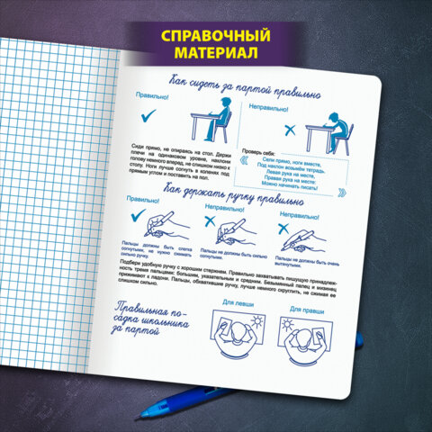 Тетрадь ПРОПИСЬ № 6 12 л. клетка, со справочным материалом, обложка картон, ЮНЛАНДИЯ, 404849