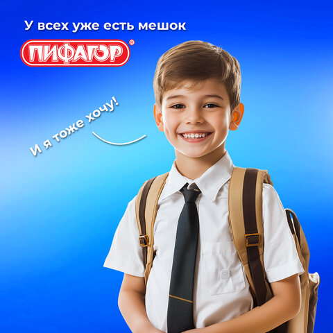 Мешок для обуви ПИФАГОР, 1 отделение, 42х34 см, "Дино", 272387