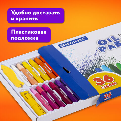 Пастель масляная восковые мелки утолщенные 36 цветов с точилкой, держателем и стеком, BRAUBERG PREMIUM, 272713