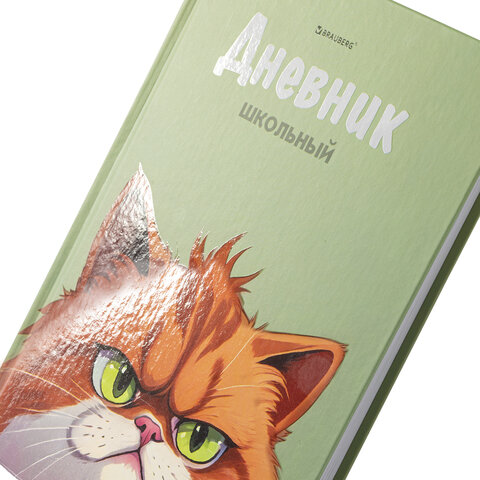 Дневник 5-11 класс 48 л., твердый, BRAUBERG, выборочный лак, с подсказом, "Суровый Кот", 107196
