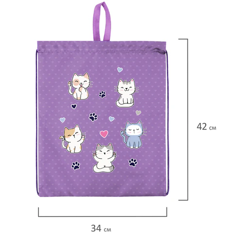 Мешок для обуви BRAUBERG KIDS, с петлей, 42х34 см, "Playing kittens", 272413