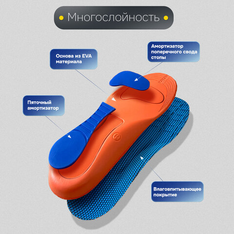 Стельки для обуви с супинатором АНАТОМИЧЕСКИЕ, материал EVA PRO, размер RU 34-39 / EU 35-40, с линиями выреза, SHEGRA (ШЕГРА), 700772