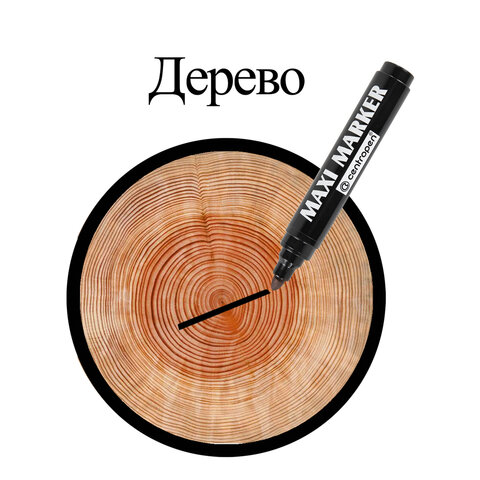 Маркер перманентный универсальный ЧЕРНЫЙ CENTROPEN "Maxi Marker", 2-4 мм, 8936, 5 8936 0112