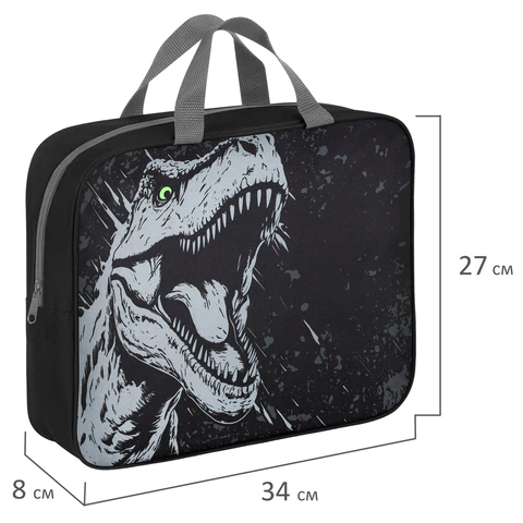 Папка на молнии с ручками BRAUBERG А4, 1 отделение, полиэстер, 80 мм, "Scary dino", 273308