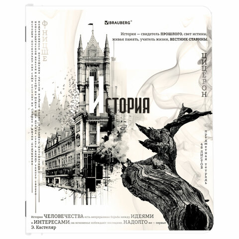 Тетради предметные, КОМПЛЕКТ 12 ПРЕДМЕТОВ, 48 л., матовая ламинация, BRAUBERG, "BLACK&WHITE", 404835