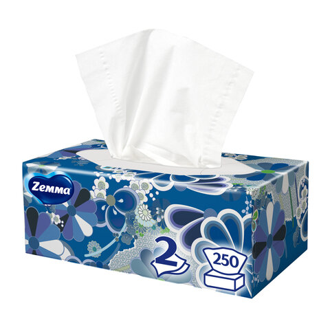 Салфетки косметические 2-слойные в картонном коробе, 250 штук, ZEMMA/ZEWA Everyday, 86791