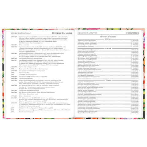 Дневник 5-11 класс 48 л., твердый, BRAUBERG, глянцевая ламинация, с подсказом, "Fruits", 106404