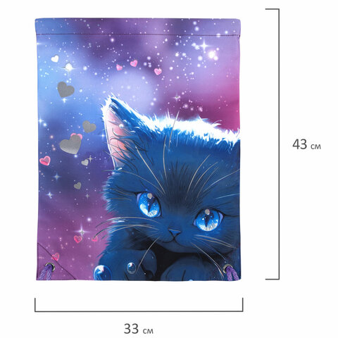 Мешок для обуви BRAUBERG PREMIUM, карман, подкладка, светоотражайка, 43х33 см, Anime cat, 272421
