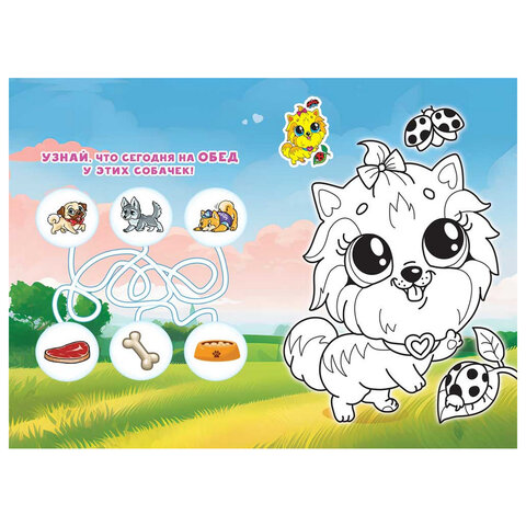 Раскраска с заданиями "Для мальчиков и девочек" с цветным фоном, А5, 16 стр., 16,2х23,4 см, АССОРТИ, ЛиС