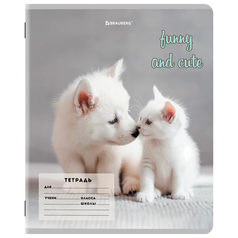Тетрадь 12 л. BRAUBERG косая линия, обложка картон, CATS AND DOGS, 107288
