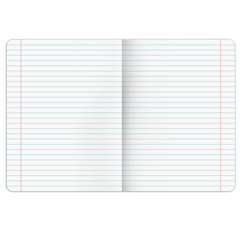 Тетрадь предметная PIGMENT 48 л., глянцевый УФ-лак, ЛИТЕРАТУРА, линия, подсказ, BRAUBERG, 404766