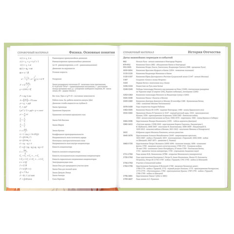 Дневник 5-11 класс 48 л., твердый, BRAUBERG, выборочный лак, с подсказом, "Суровый Кот", 107196