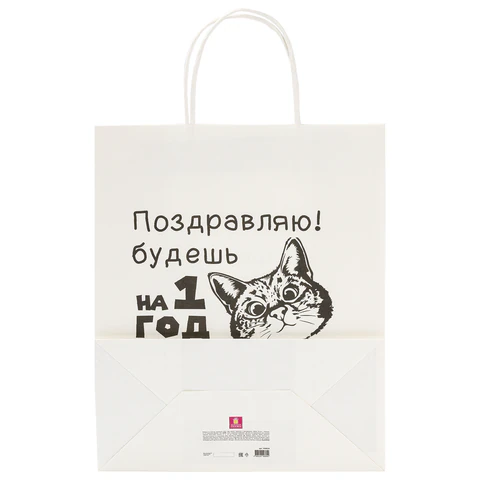 Пакет подарочный (1 штука) 26х13х32 см (L) "Funny Notes", ассорти, крафт, ЗОЛОТАЯ СКАЗКА, 700824