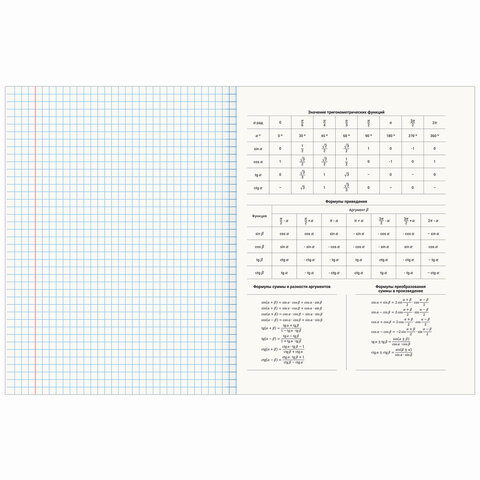 Тетради предметные со справочным материалом, КОМПЛЕКТ 12 ПРЕДМЕТОВ, 48 л., обложка картон, BRAUBERG, "VISION", 404323