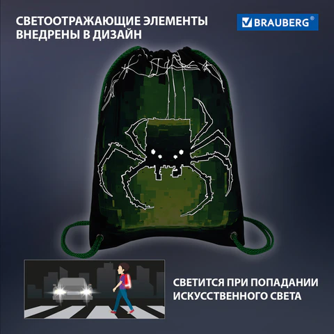 Мешок для обуви BRAUBERG PREMIUM, карман, подкладка, светоотражайка, 43х33 см, "Digital spider", 273444