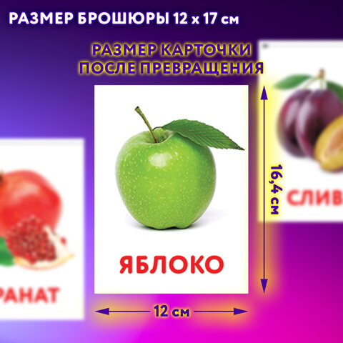 Карточки Домана, 8 развивающих брошюр по методике ГЛЕННА ДОМАНА, 145 изображений, ЮНЛАНДИЯ, 691022