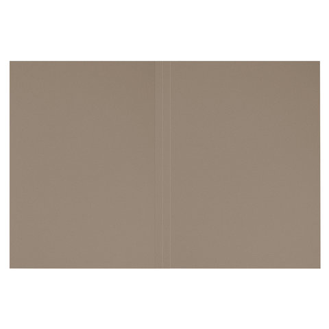 Папка без скоросшивателя "Дело", картон, плотность 280 г/м2, до 200 листов, ОФИСМАГ, 124572