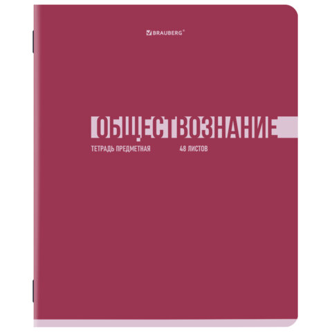 Тетради предметные, КОМПЛЕКТ 12 ПРЕДМЕТОВ, 48 л., обложка картон, BRAUBERG "VIBE", 405163