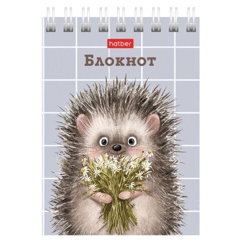 Блокнот МАЛЫЙ ФОРМАТ А7, 40 л., гребень, картон, клетка, HATBER, "Хорошо быть ёжиком", 081183, 40Б7В1гр