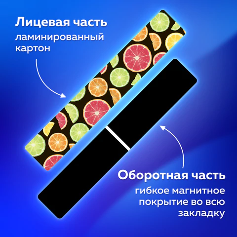 Закладки для книг МАГНИТНЫЕ, "FRUITS", набор 12 шт., 60x20 мм, BRAUBERG, 113173