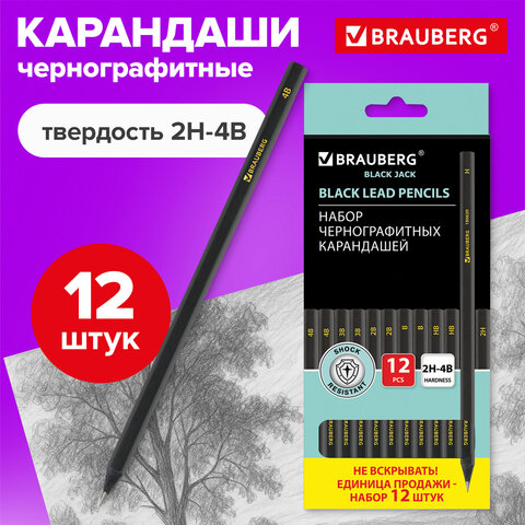 Карандаши чернографитные BRAUBERG НАБОР 12 шт., "Black Jack", 2Н-4В, без резинки, черные, дерево, заточенные, 180620