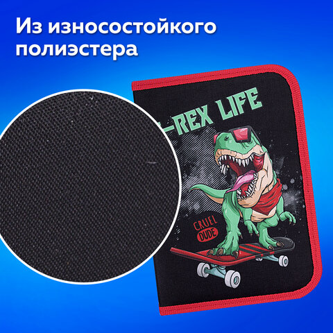 Пенал ПИФАГОР, 1 отделение, 2 откидные планки, полиэстер, 20х14 см, "T-Rex Life", 271513