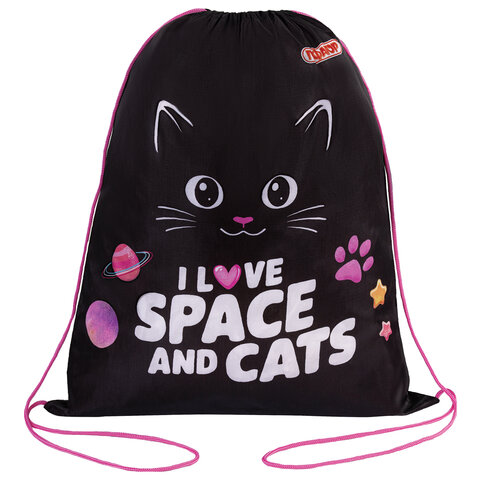Мешок для обуви ПИФАГОР, 1 отделение, 42х34 см, "Dark kitten", 273419