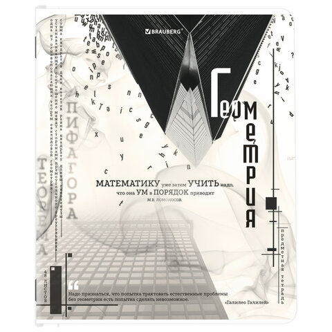 Тетради предметные, КОМПЛЕКТ 12 ПРЕДМЕТОВ, 48 л., матовая ламинация, BRAUBERG, "BLACK&WHITE", 404835